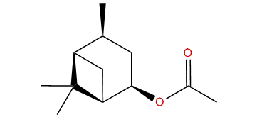 neo-Verbanyl acetate